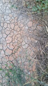 Climate change crete nature