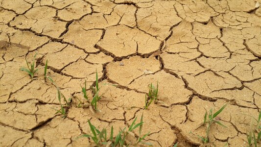Dirt dry environment