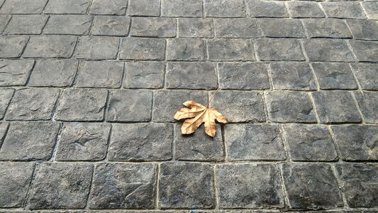 Brick floor