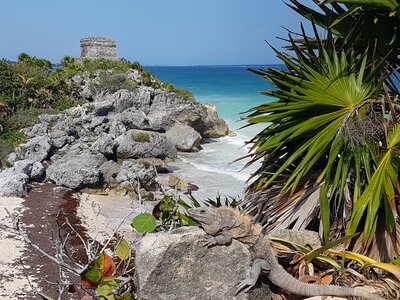 Ruins maya yucatan