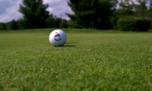 Golf ball green golf photo