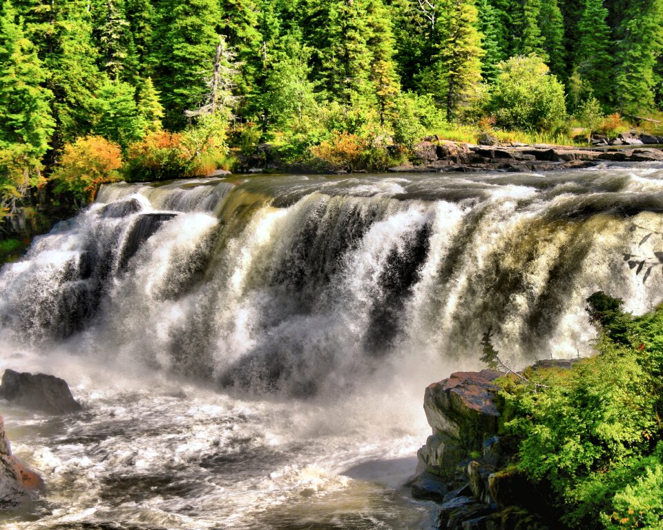 Water landscape stream