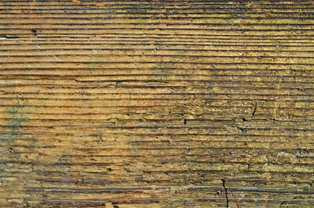 Wood board texture
