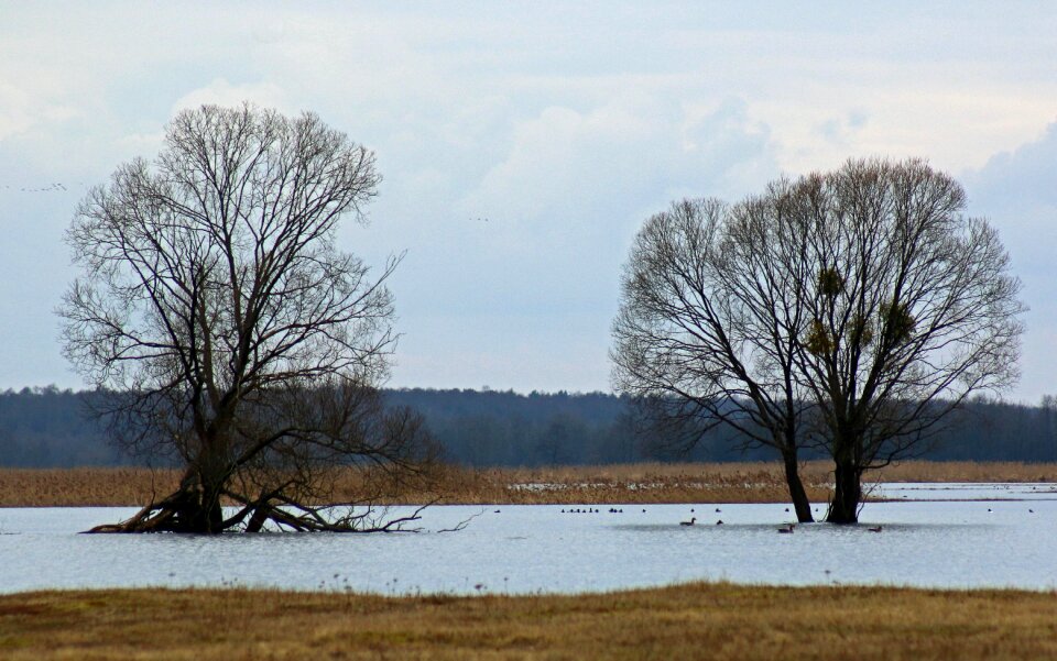 Landscape backwaters nature