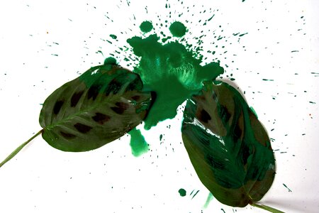 Leaves art spray