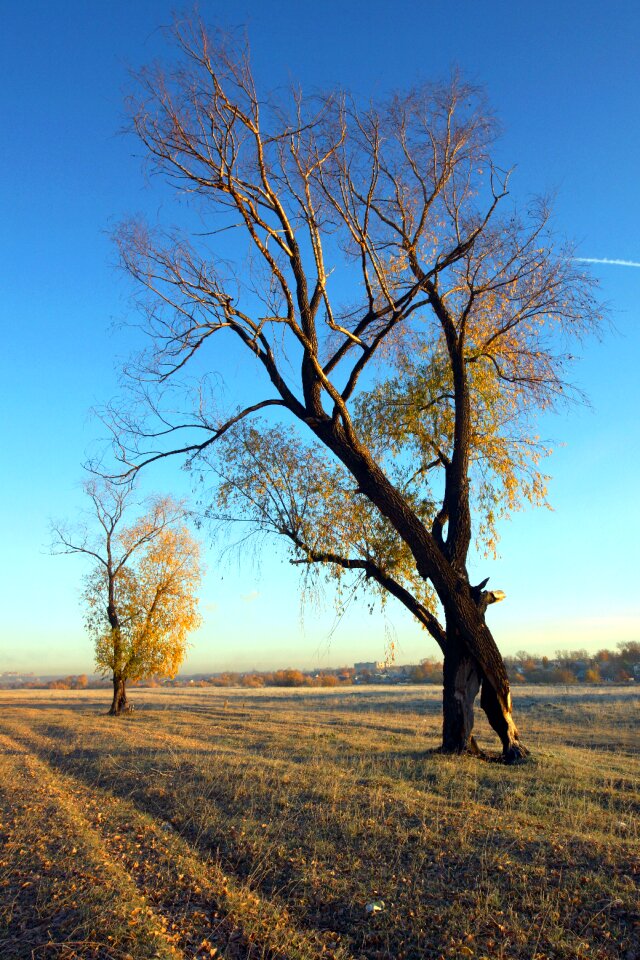 Sunny day autumn blue sky