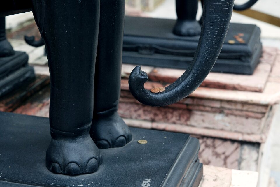 Elephant more coin idol