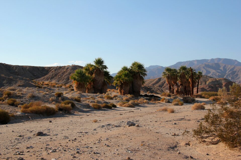 Anza borrego desert california photo
