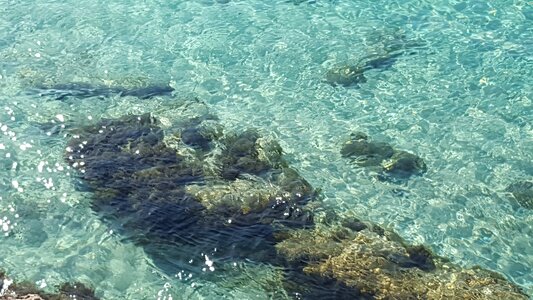 Water beach landscape