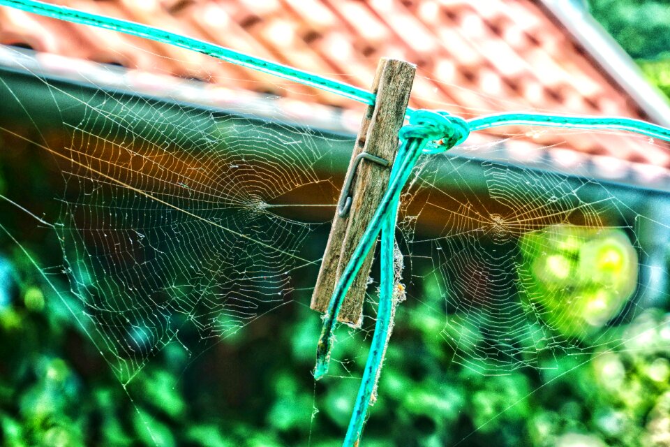 Autumn transience structure