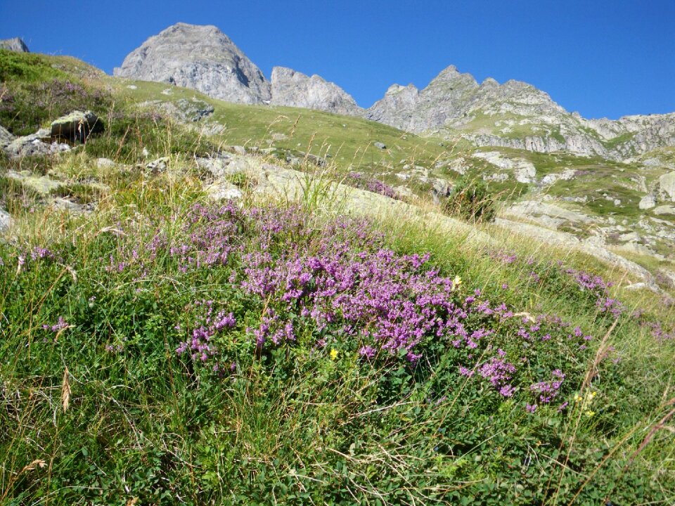 The pyrenees mountains landscape