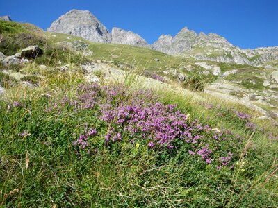 The pyrenees mountains landscape photo