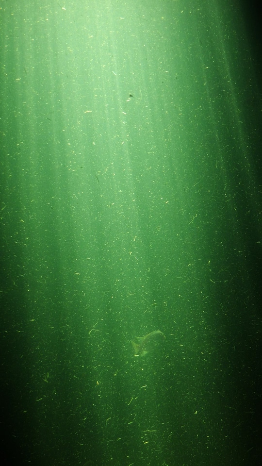 Sun streaks texture
