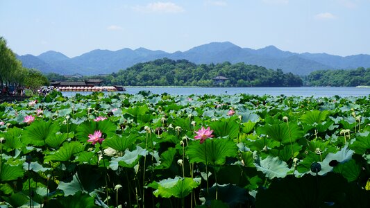 West lake hangzhou china photo
