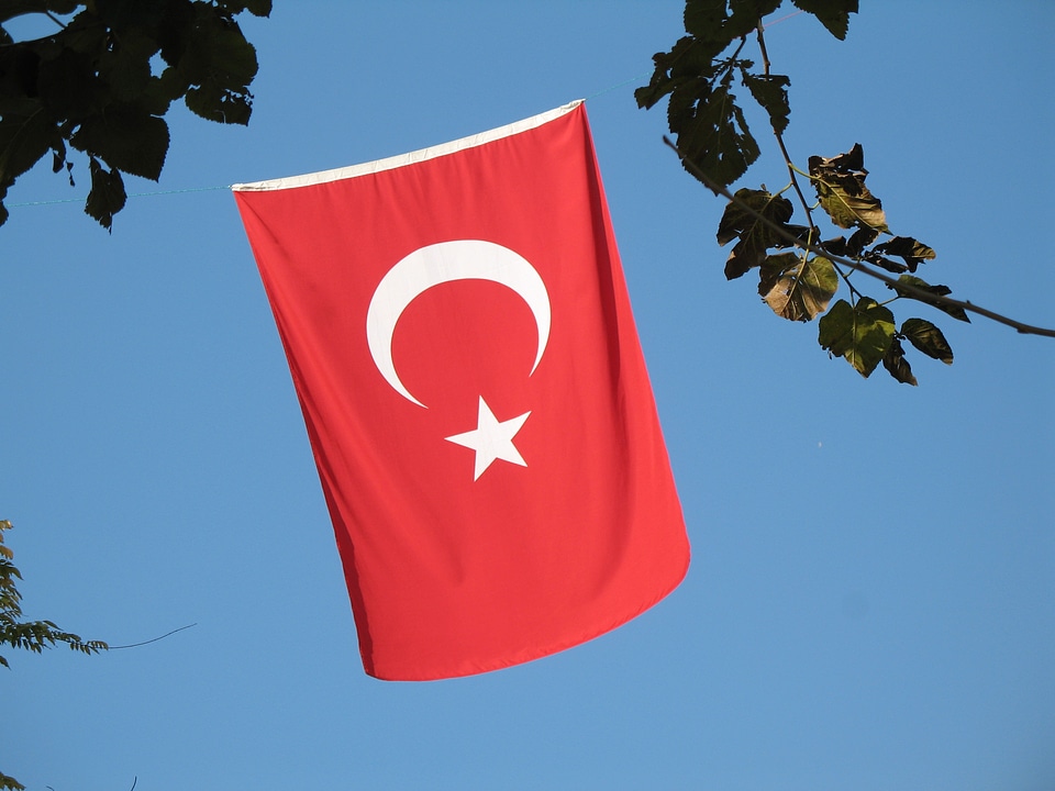 Red flags patriotic