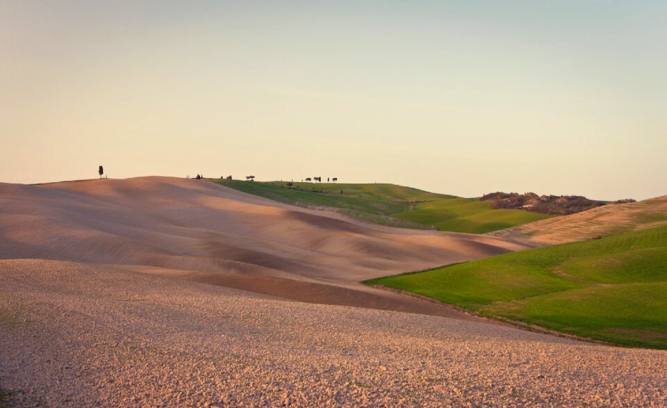 Hill light wasteland
