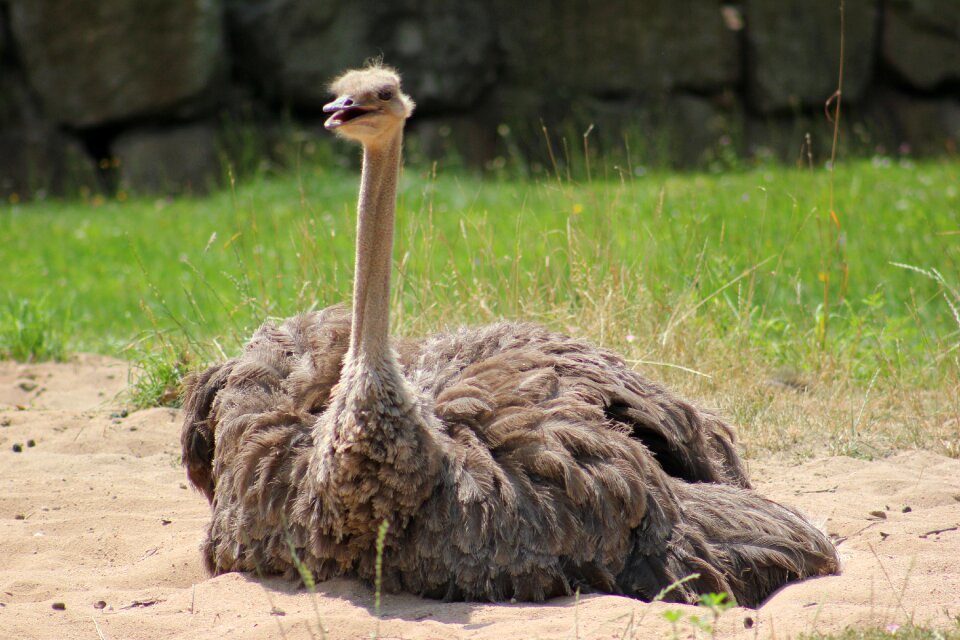 Bird zoo nuremberg