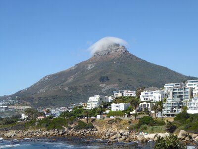Cape town lion head south africa photo