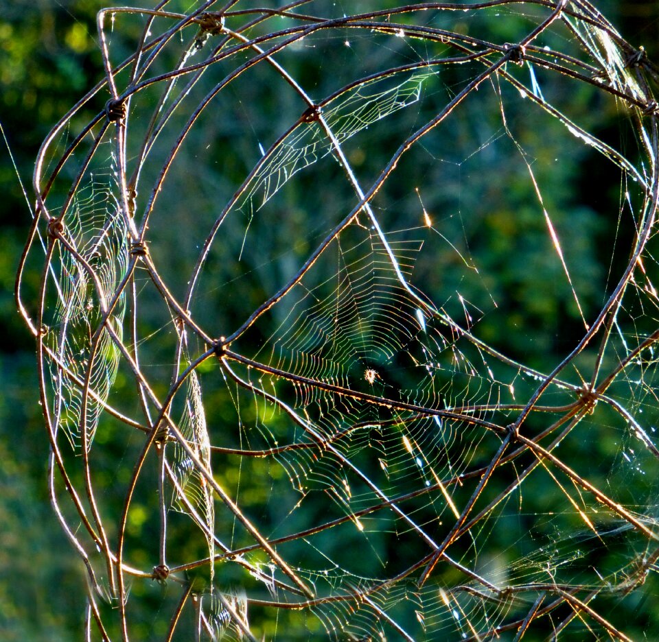 Art work of nature garden ball