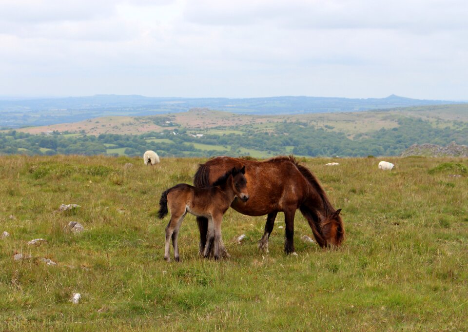Outdoors wild country
