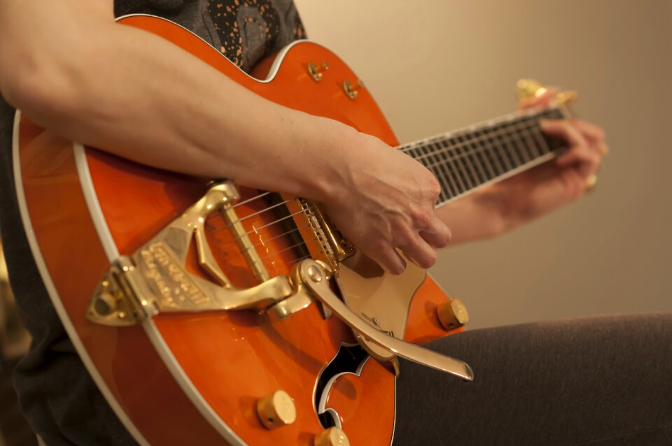 Instrument musician musical instrument