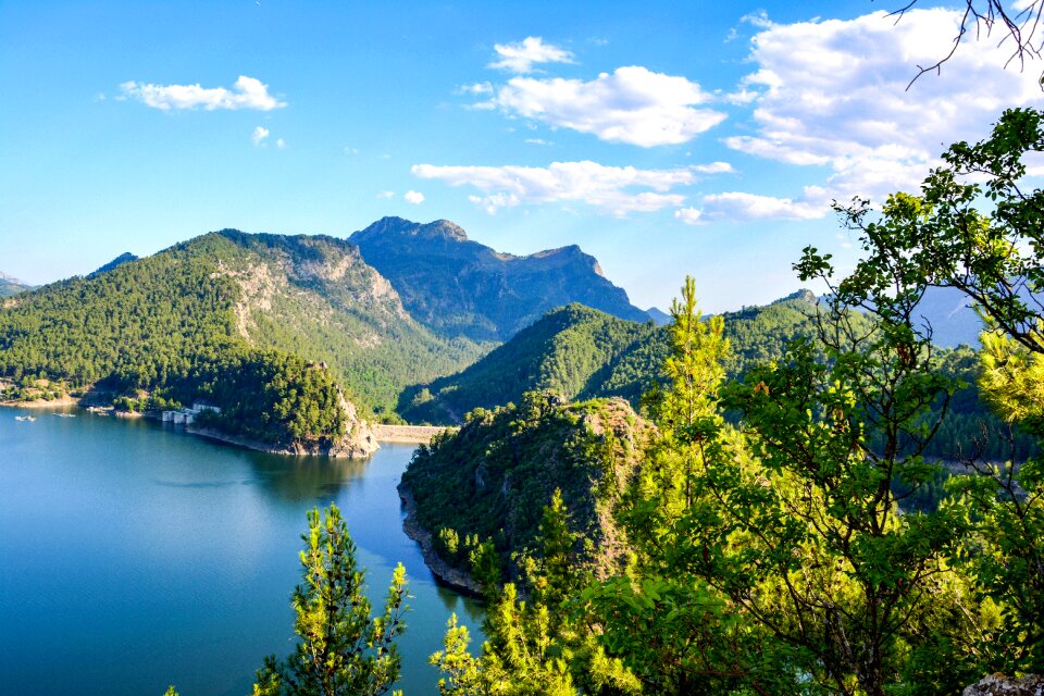 Landscape turkey forest