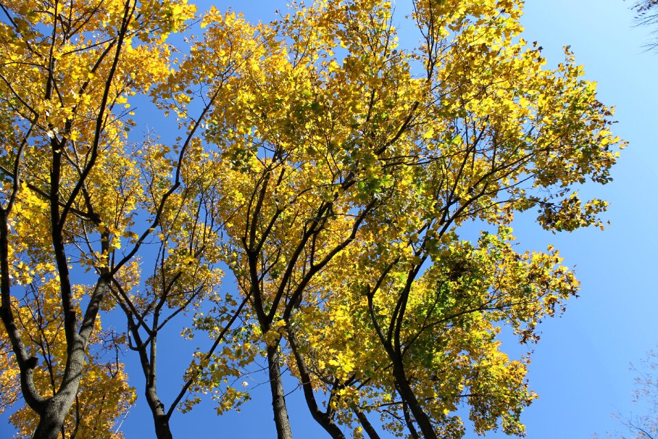 Nature sky