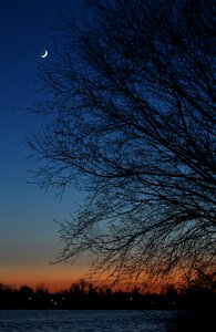 Wood landscape blue