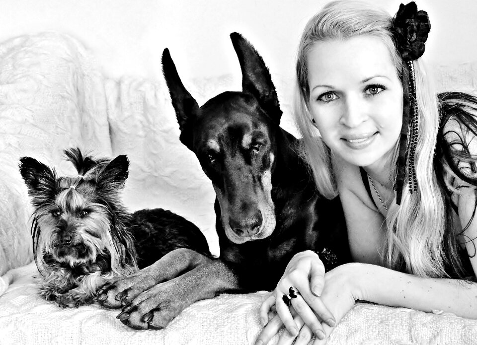 Yorkie smile love