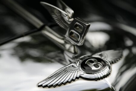 Bentley wings