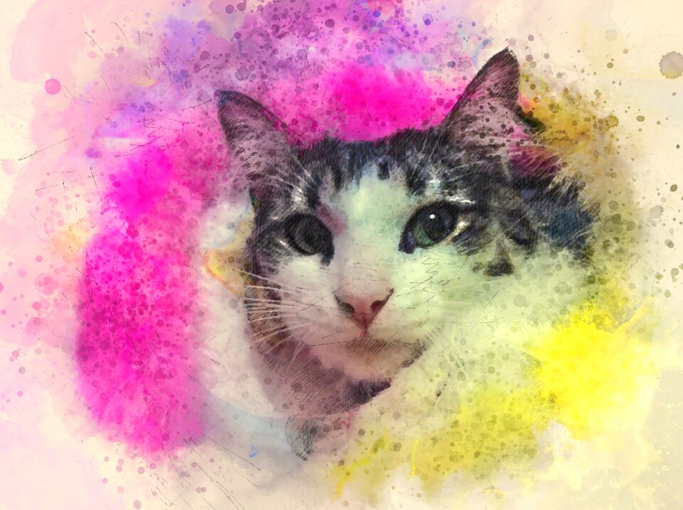 Design colourful animal