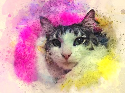 Design colourful animal