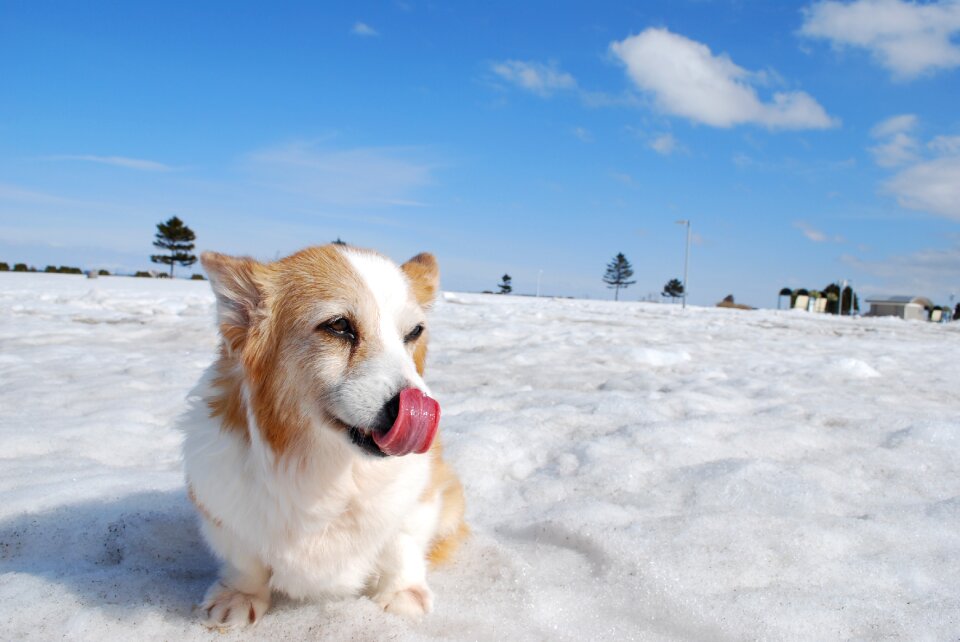 Sky snow cloud