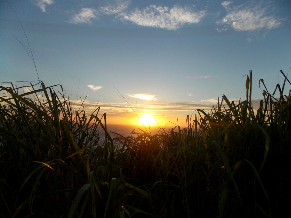 Green sunset nature photo