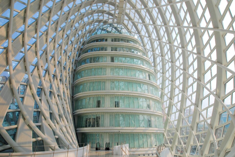 Phoenix center curve lou