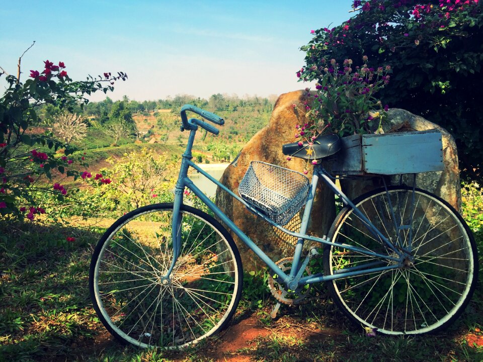 Bike flower scenery