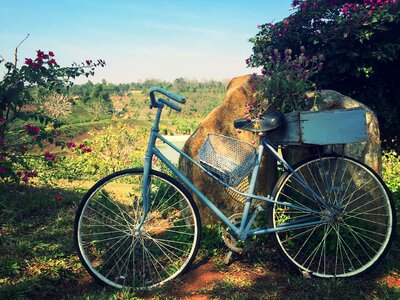 Bike flower scenery