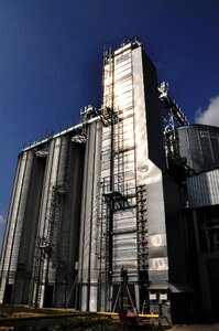 Wielbark agriculture cereals