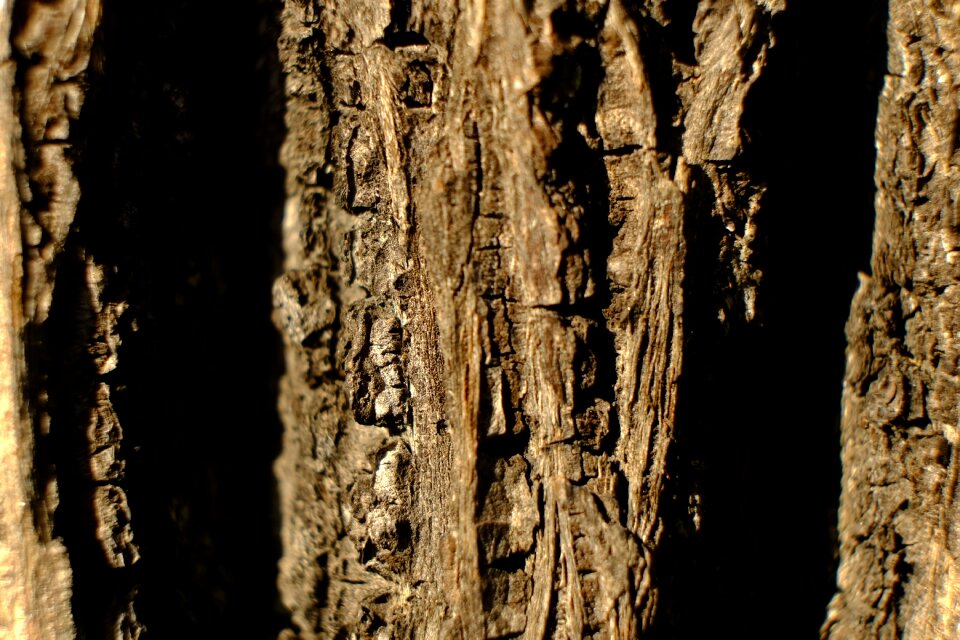 Nature structure brown