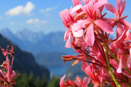 Mountain lake scenery