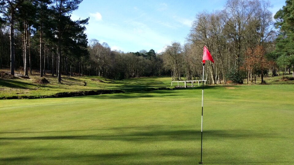 Golfing golfball putting