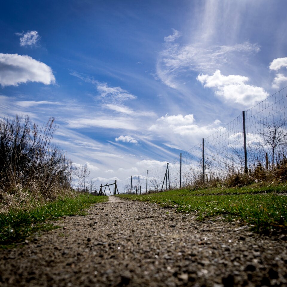 Path nature germany