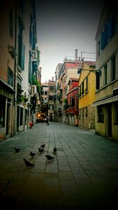 Pigeons street old town photo
