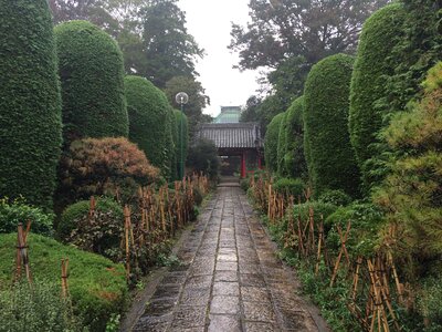 Temple gate cobblestone