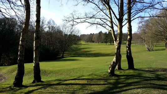 Golfing golfball putting photo