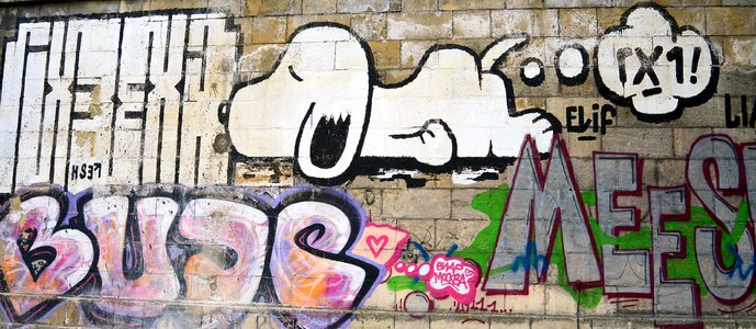 Wall painting art mural