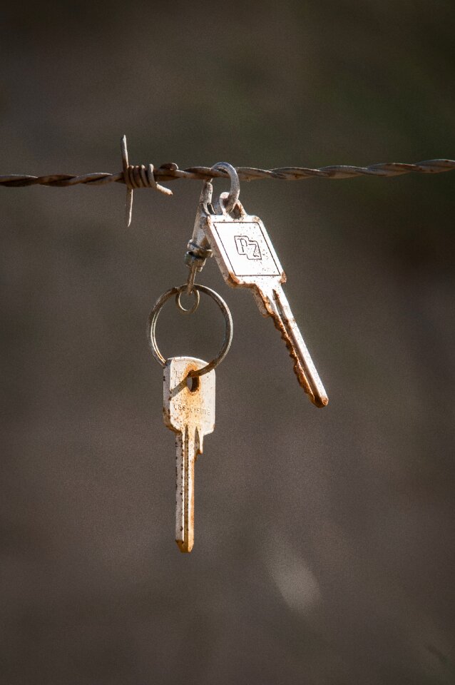 Rust found object keys