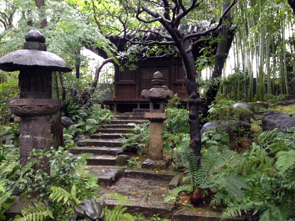 Garden japan garden tearoom