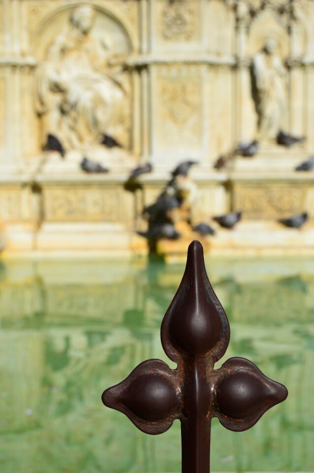The fountain of gaia siena italy