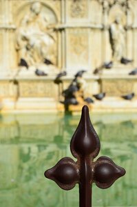 The fountain of gaia siena italy